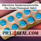 Männliche Seidenraupenmotte, Die Orale Flüssigkeit Nährt new09